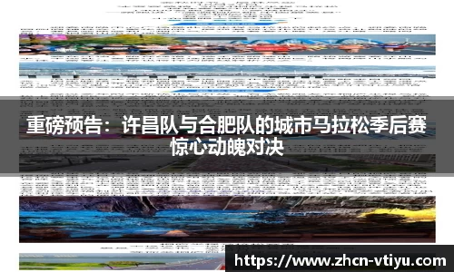 v体育官方网站